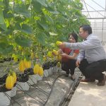 Scientific conference of Fruit and Vegetable Research Institute in 2022